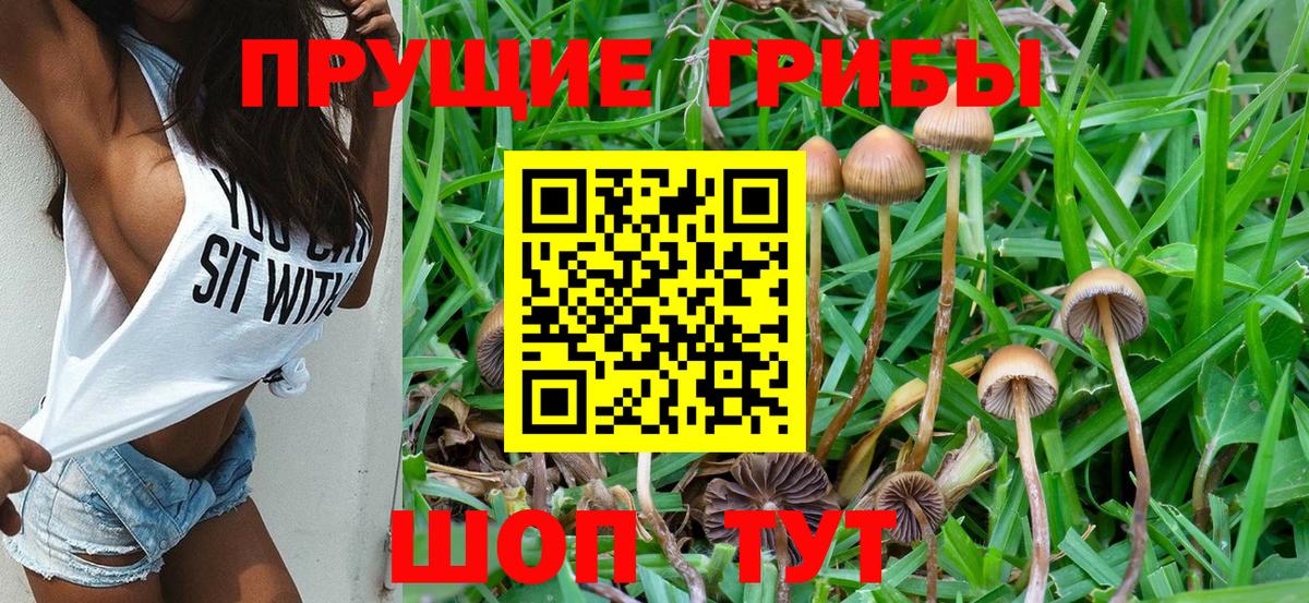 Янаул  Галлюциногенные грибы Cubensis  Вход с VPN  Галлюциногенные грибы прущие грибы 