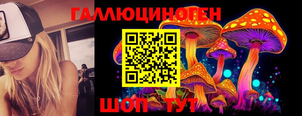 Галлюциногенные грибы Psilocybe Янаул